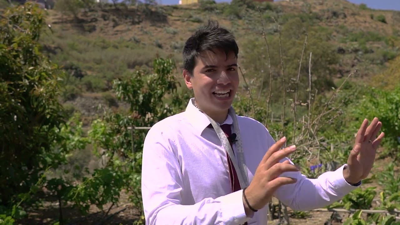 ESTUPENDA FINCA EN VENTA EN LA ZONA DE VALSEQUILLO, LAS PALMAS DE GRAN CANARIA