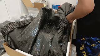 JT0021324625661