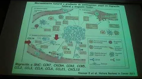 Diagnstico de infiltracin de SNC en Leucemias y Li...