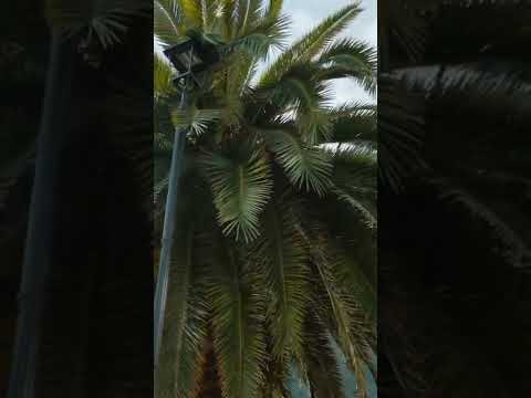 سبع خطوات لتخلص من الإدمان تلخيص كتاب هزيمة الإدمان