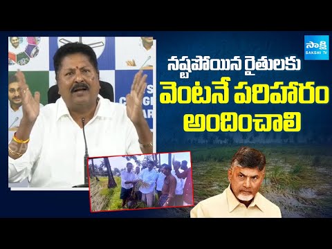 Karumuri Venkata Nageswara Rao DEMANDS Compensation For Damaged Farmers, Chandrababu Govt | Sakshi - SAKSHITV
