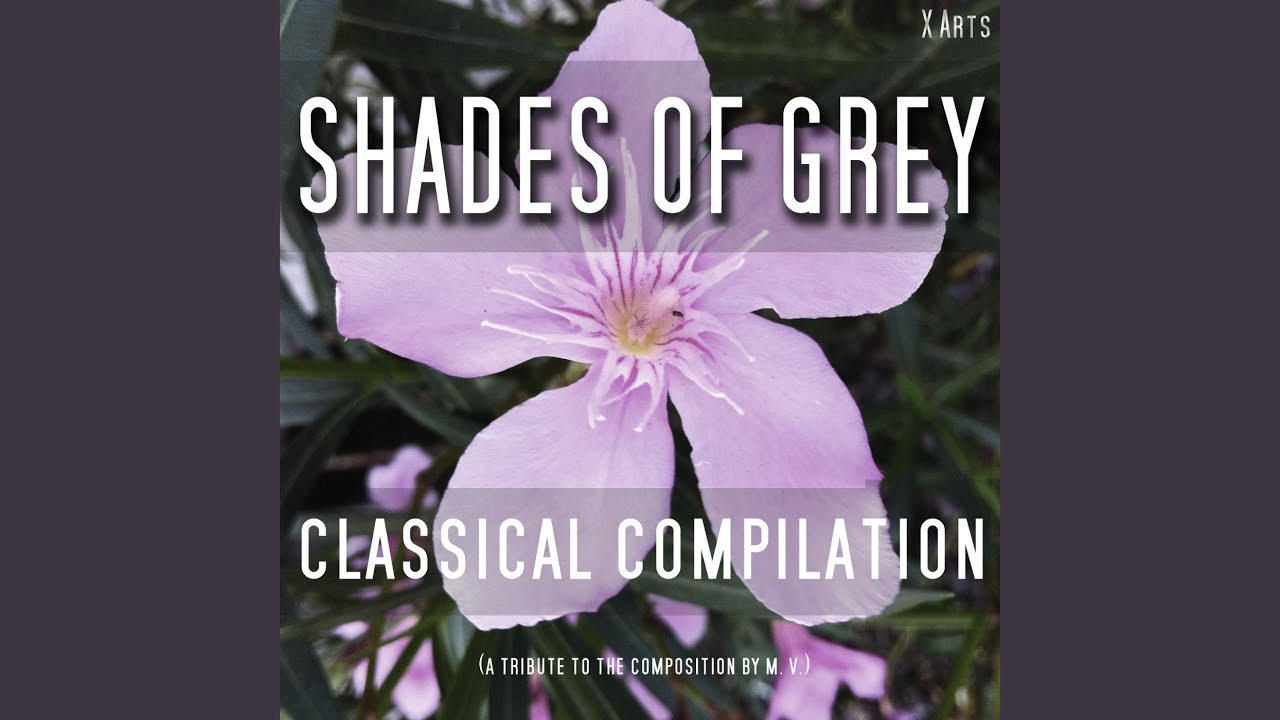 On the Beatiful Blue Danube (Medley) On the Beatiful Blue Danube (Medley)