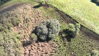 Bringe Mose, Flyvestation Værløse