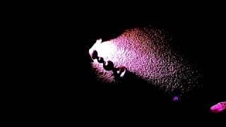 Pi (Interlude) [official song]