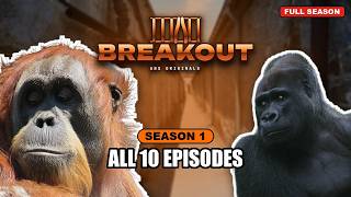 BREAKOUT Season 1: Full Season, All 10 Episodes | ABS Originals