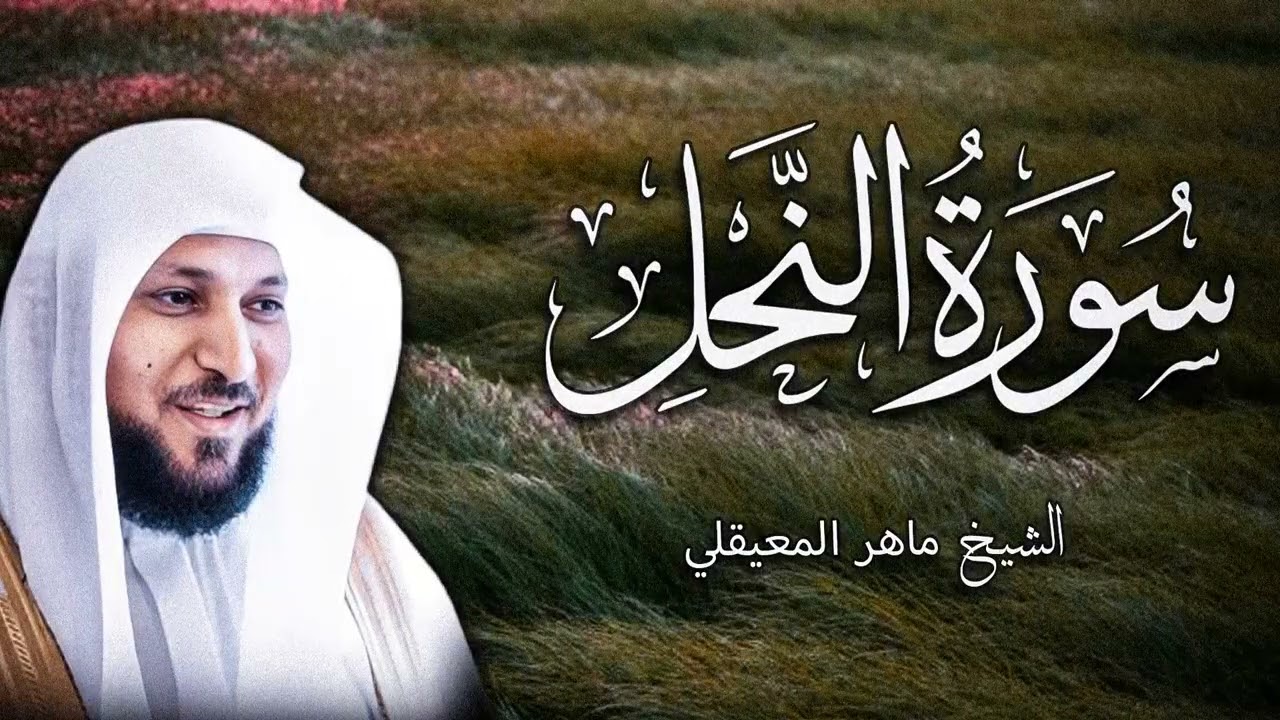 الشيخ ماهر المعيقلي - سورة النحل  | Surat An-Nahl