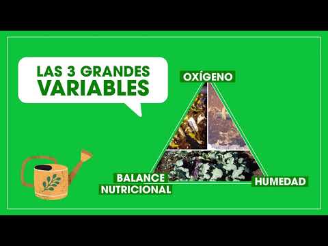 Vídeo: Què és un compost que forma ions d'hidrogen en solució?