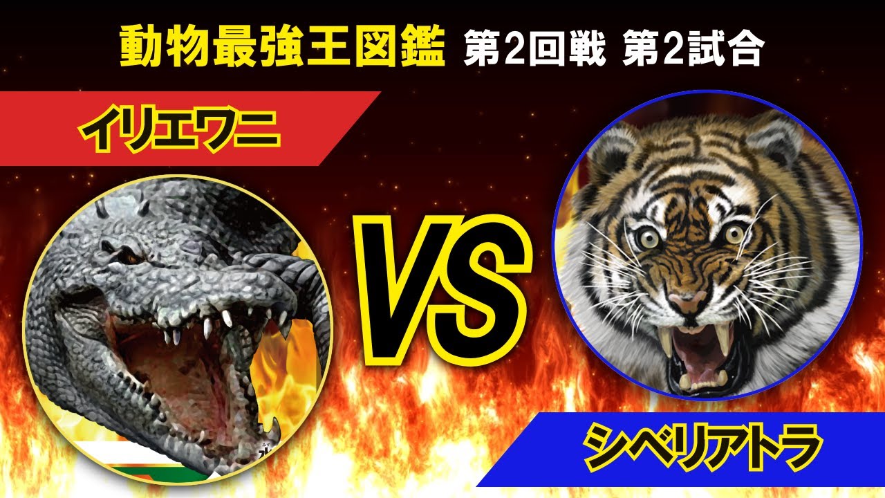 動物最強王図鑑 2回戦第2試合 Youtube