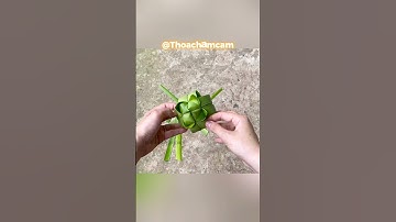 Lồng đèn bằng lá dừa, lồng đèn trung thu #shorts #youtubeshorts #ladua #longden #trungthu #craft