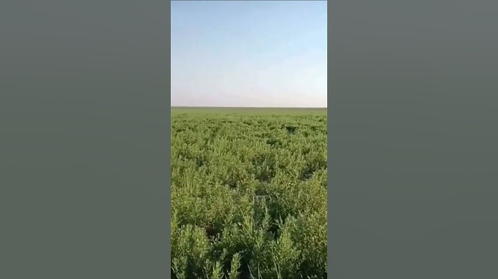 😢 Колишнє Каховське водосховище зараз