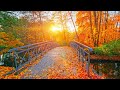The First Day Of Autumn Acoustic Guitar Instrumental Indie Folk Relaxing Music New England Autumn