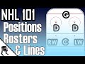 NHL 101: How Positions, Roster and Lines work in the NHL