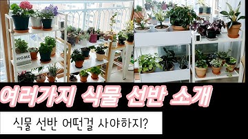 [식물 선반 소개]JOY조이TV 추천 선반/신시아TV 추천 선반/그외 식물 선반들 비교 후 구매하세요