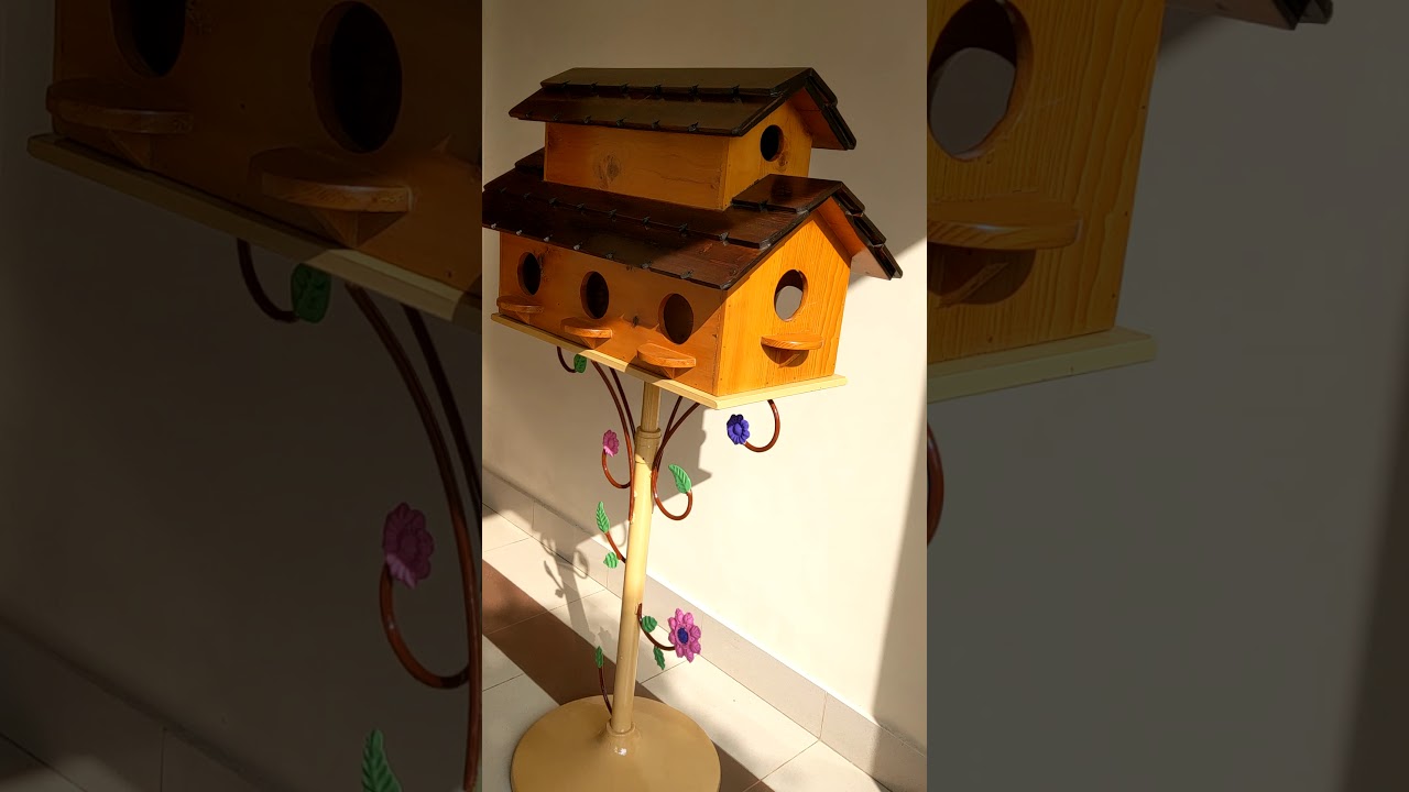 Bird House YouTube