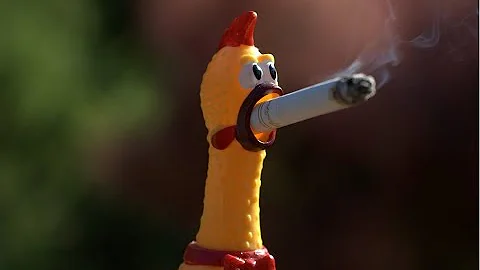 [3.860 MHz LSB] "I didn't know he was a chicken farmer!" [NSFW]