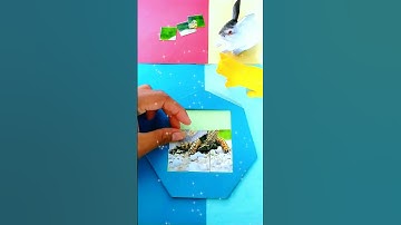 Assemble the prettiest tortoise puzzle