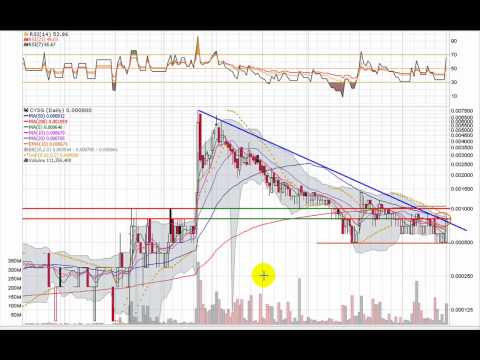 CYSG - Cape Systems Group, Inc. - An Annotated Stock Chart