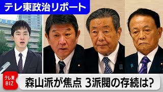 残る3派閥の存続は？ 8人の“森山派”がカギ　党改革に向け議論大詰め【テレ東政治レポート】（2024年1月23日）