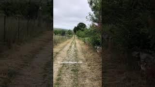 Senda Del Tejo A La Igualta