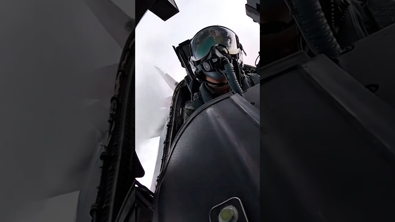 This Pilot’s Control Is Insane 