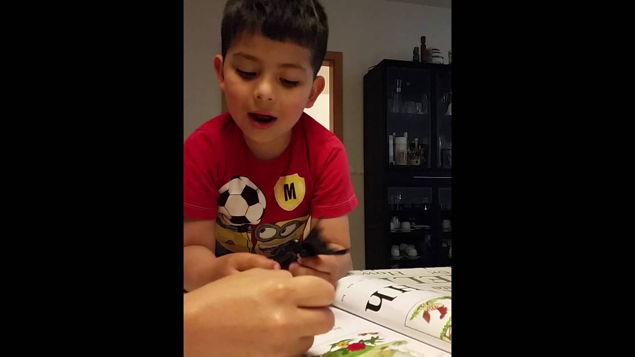 Lúkas enseñando a leer en islandés a frank