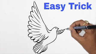 How to Draw a Pigeon So Easy Even Beginners Can Do It | Pigeon drawing 