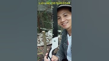 Bộ 8 Món Dụng Cụ Làm Vườn Cây Cảnh Bonsai (Kéo SK5 Kéo Cắt Cành Cưa Gập Cầm Tay và Cưa Lách New)