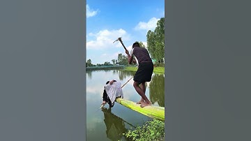 Look how they cut down the banana tree and threw it into the river.😁😂#shortvideo #comedymove #funny