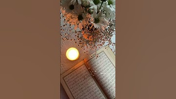#####قران_كريم #سورة #ياسين