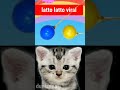 kucing lucu tebak warna latto latto viral #shorts #kucinglucu #lattolatto