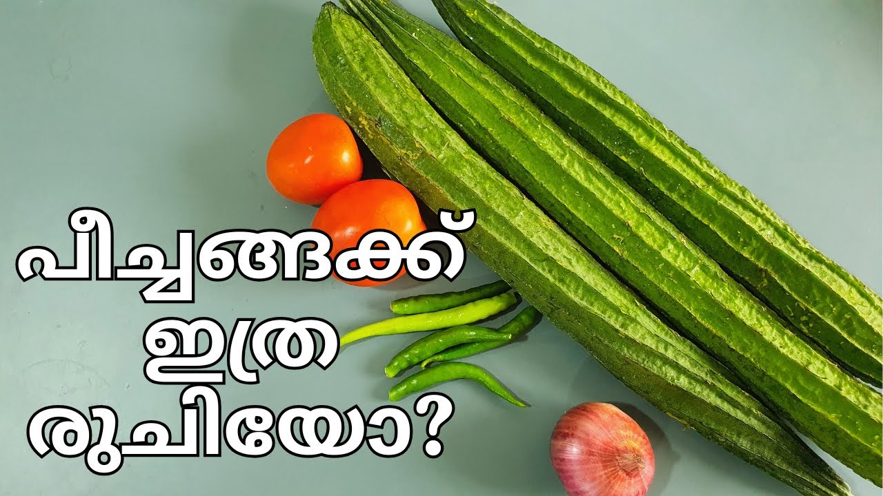 Попробуйте приготовить это блюдо с персиками и попробуйте #RidgeGourdCurry #myammachiskitchen