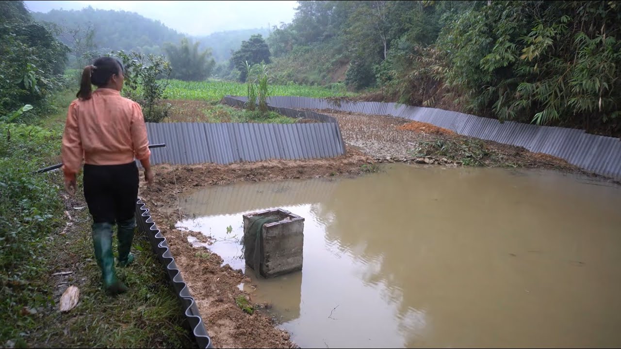 TIMELAPSE 128 Days: Build pond embankment with Corrugated Roof Sheet