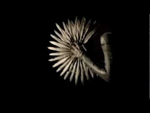 Stray - Contract (Blu Mar Ten Music)