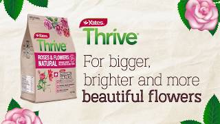 Yates thrive natural roses & flowers (tvc): feeds flowering plants
while improving the soil