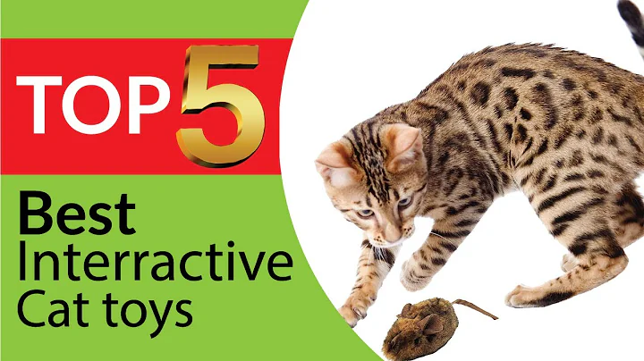 Top 5 Best Interactive Cat Toys for 2026 [Buying Guide]