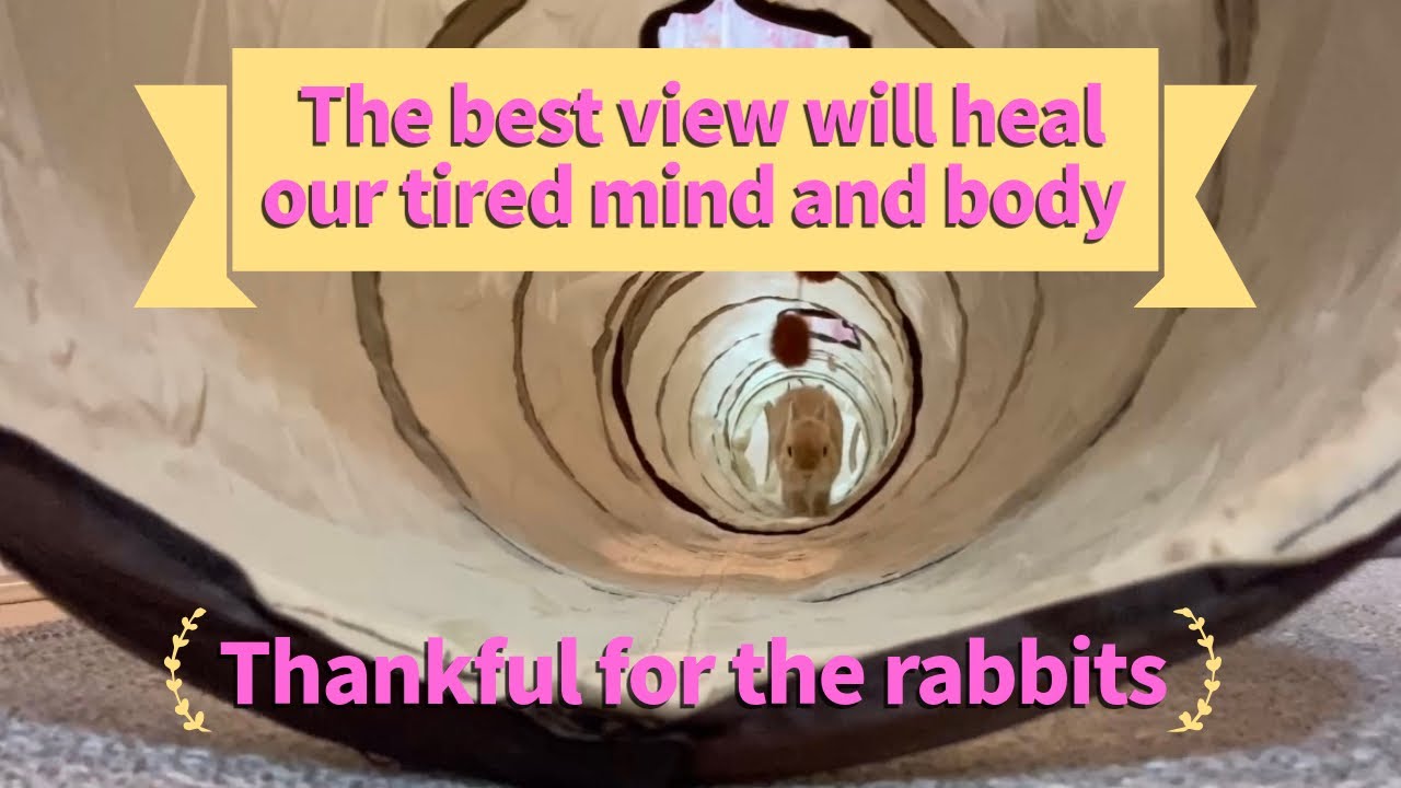 The best view will heat our tired mind and body (Thankful for the ...