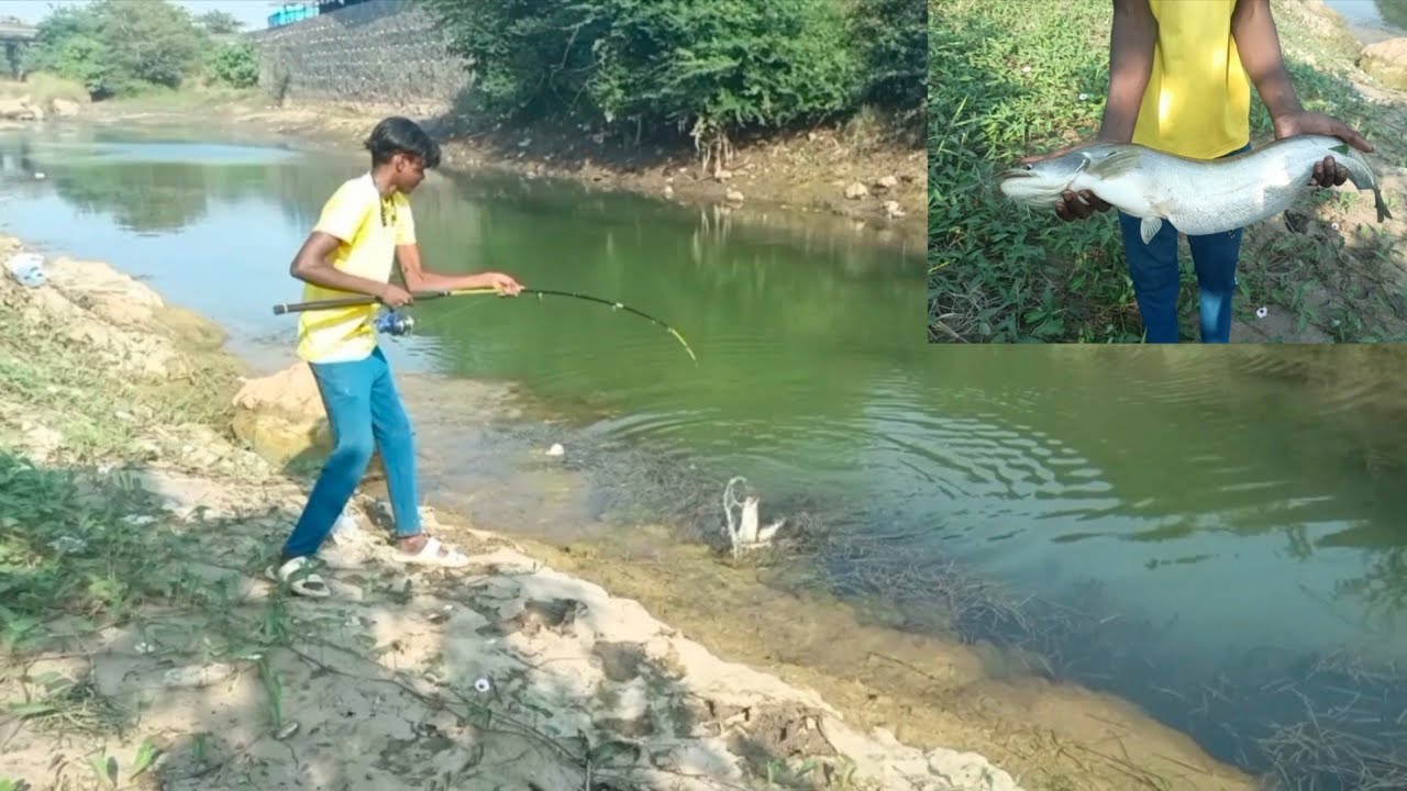 //amazing big cetfish haunting //big pthan fish kechingvideo// 🎣🐠#ZAYROFISHING#vairalvideo#trending 