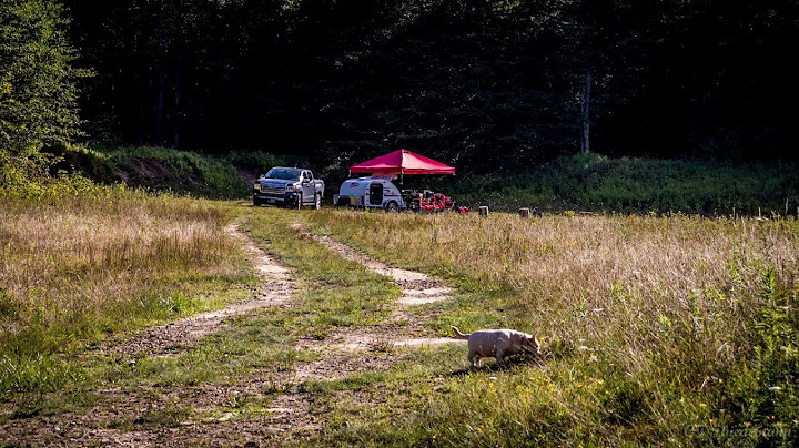 Hunting cabins for sale near allegheny national forest