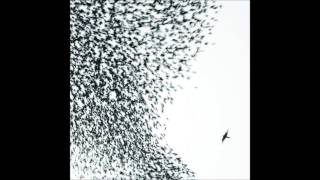 Wilco - Side with the Seeds
