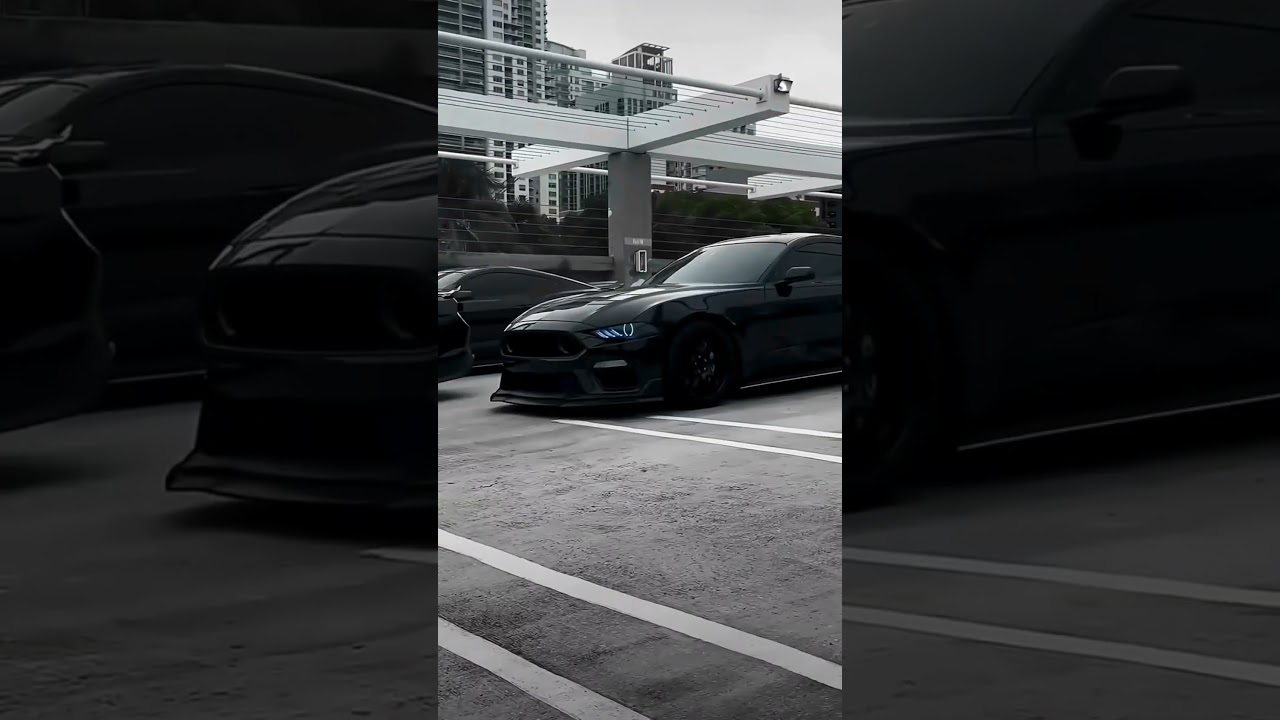 Black beast awakend. 