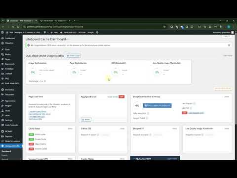80. LiteSpeed Cache Plugin reducing  minify css,js