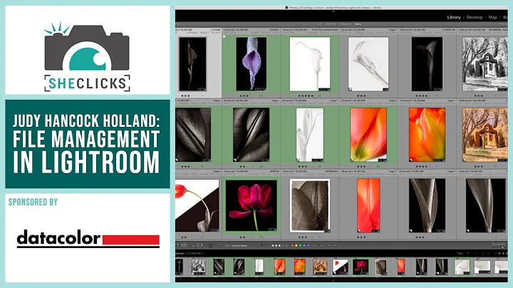 File Management in Adobe Lightroom by Judy Hancock...