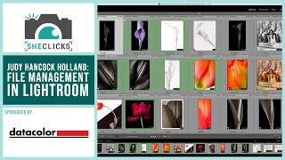 File Management in Adobe Lightroom by Judy Hancock Holland