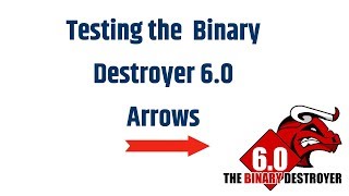 How Good are the Binary Destroyer 6.0 Arrows? (TEST)
