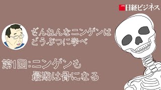 動物学者・今泉忠明氏　ざんねんなニンゲンはどうぶつに学べ＃01／ニンゲンも最期は骨になる