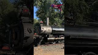 Sierra Railroad Steam Locomotives 3 and 28
