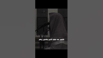 سوره الزمر القارى محمد اللحيدان