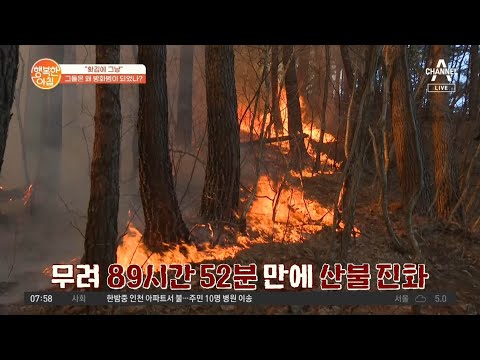 <strong>지난</strong> 강릉 옥계 산불 원인은 &amp;#39;방화&amp;#39;?! 토치로 불지른 방화범은 누구? | 행복한 <strong>아침</strong> 803 회