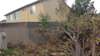 Tornado hits Elk Grove California! 10/22/2012 Raw Footage