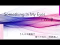Something In My Eyes